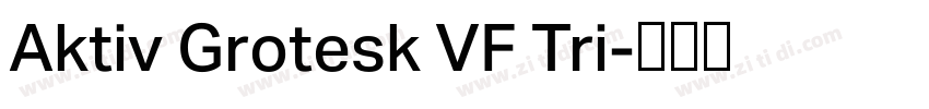 Aktiv Grotesk VF Tri字体转换